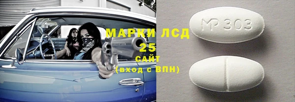 ECSTASY Инсар