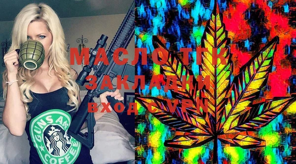 ECSTASY Инсар