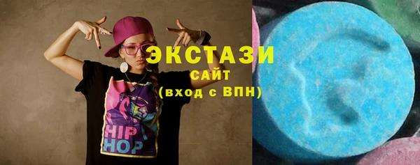 ECSTASY Инсар