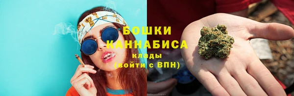 ECSTASY Инсар