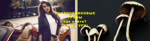 метадон Шали