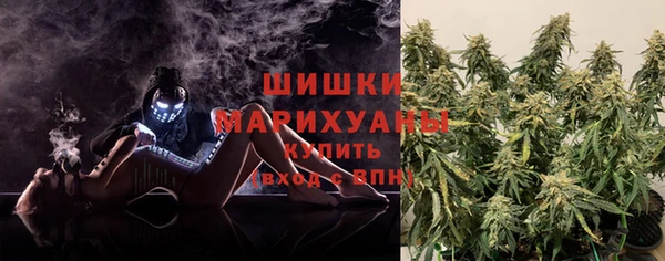 стафф Инта