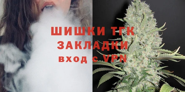 ECSTASY Инсар