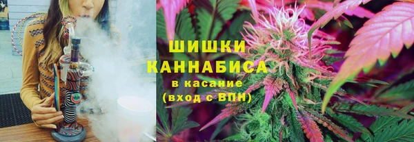стафф Инта