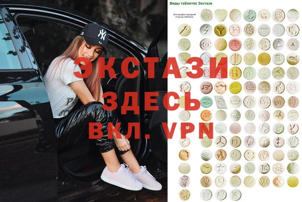 ECSTASY Инсар