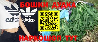 PSILOCYBIN Пугачёв