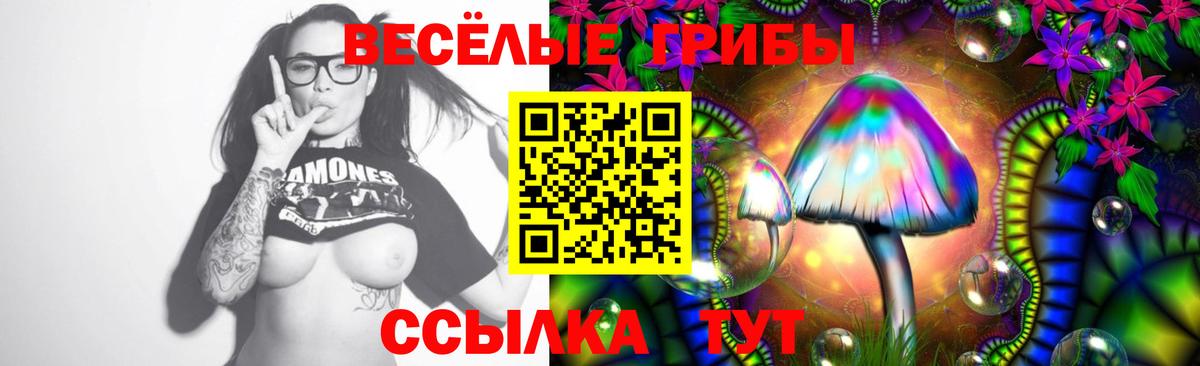 Галлюциногенные грибы прущие грибы  Вход с VPN  Галлюциногенные грибы Magic Shrooms  Ступино 